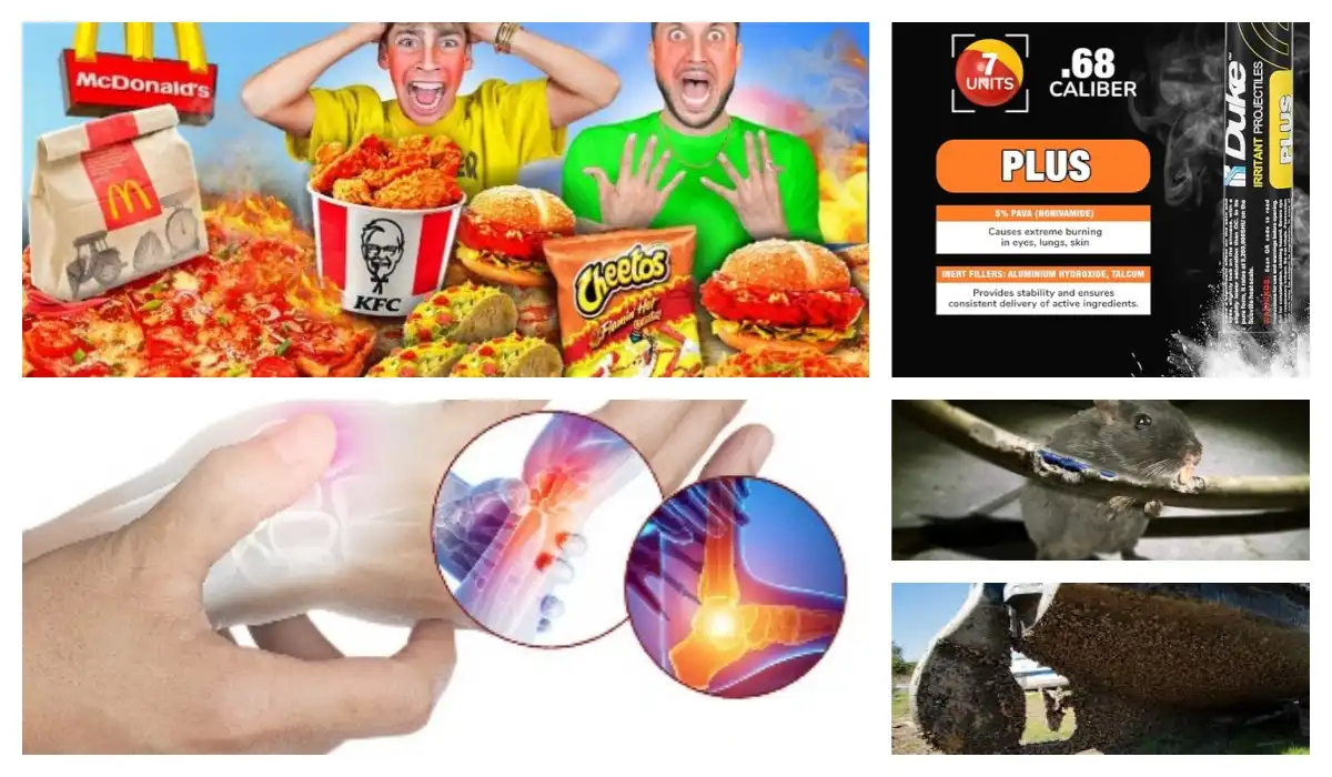 product-1-1 product-1-1