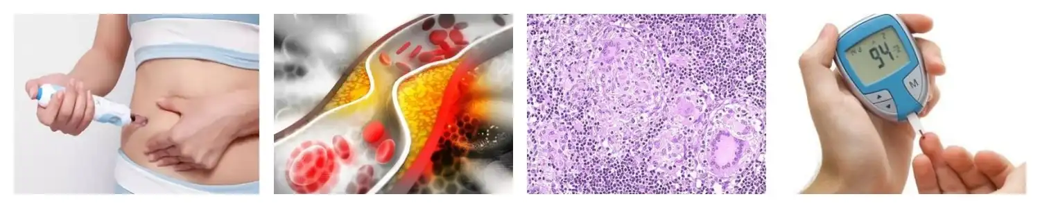 product-1-1 product-1-1