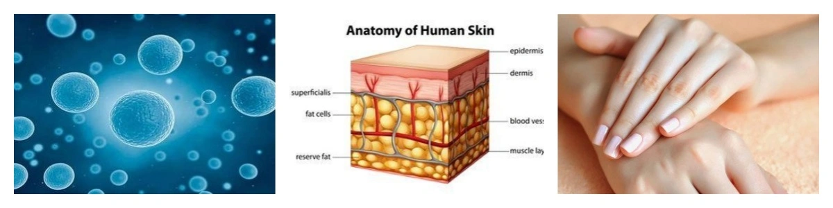 product-1-1 product-1-1