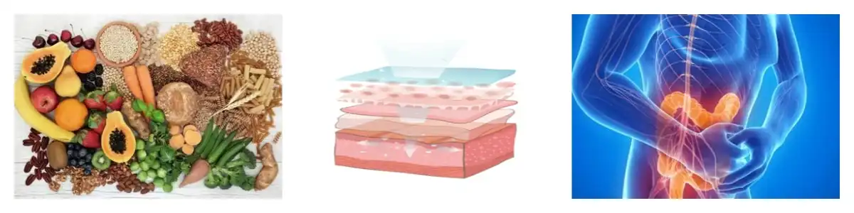 product-1-1 product-1-1