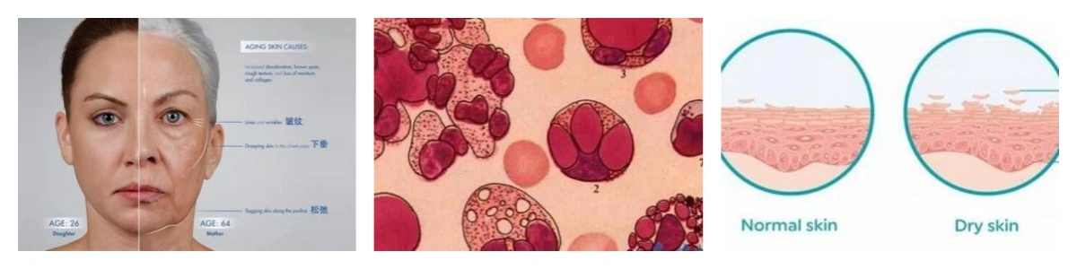 product-1-1 product-1-1