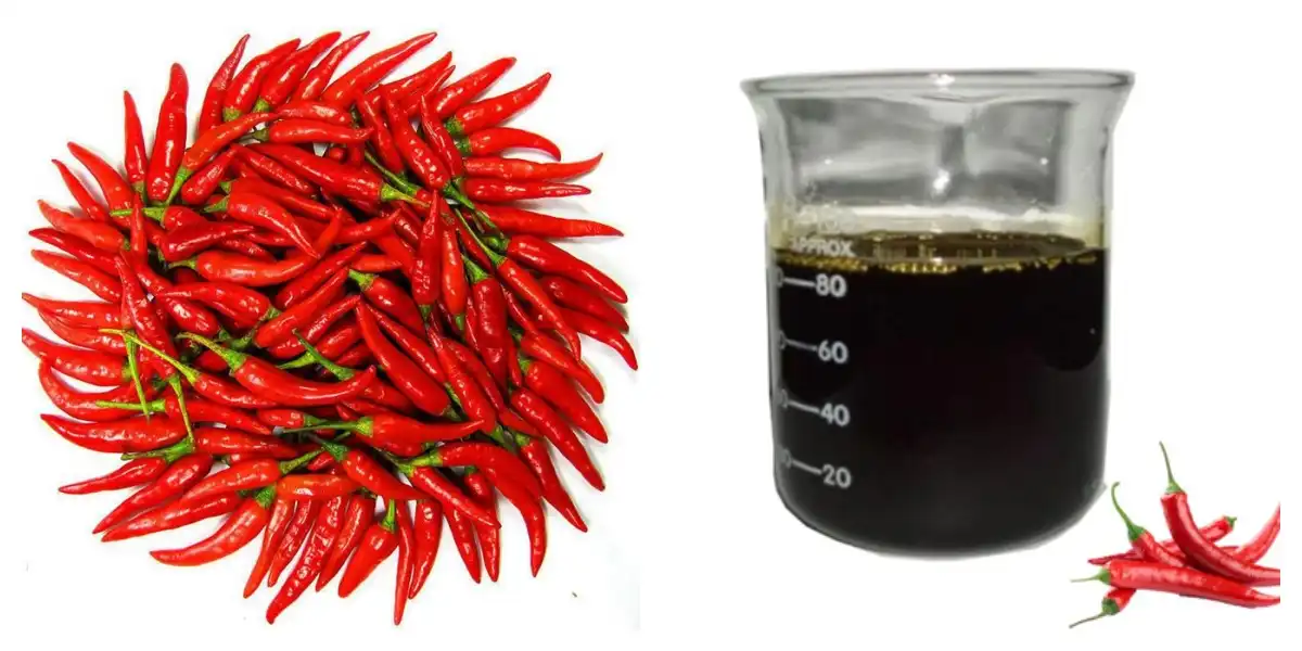 product-1-1 product-1-1