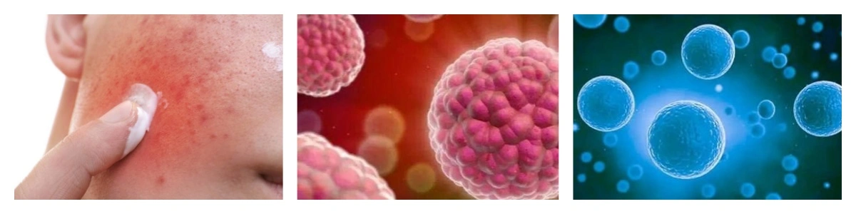 product-1-1 product-1-1