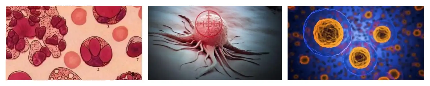 product-1-1 product-1-1