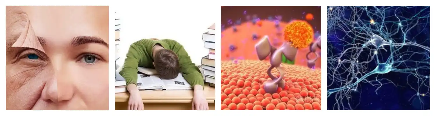 product-1-1 product-1-1