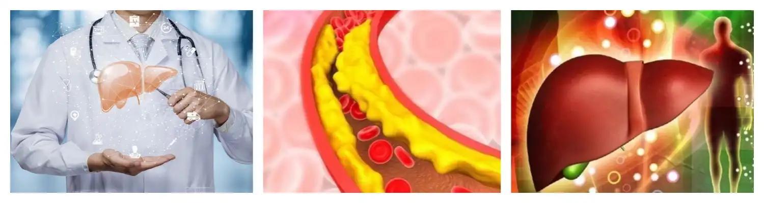 product-1-1 product-1-1