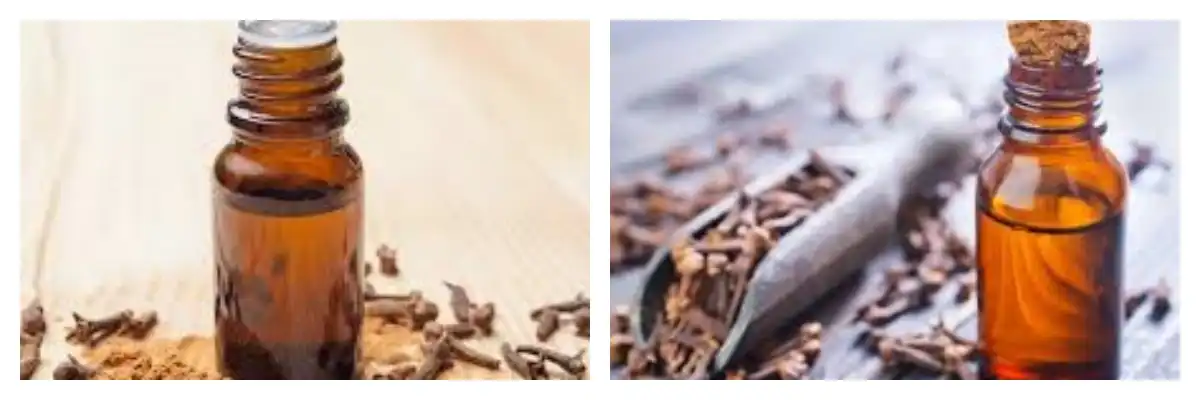 product-1-1 product-1-1