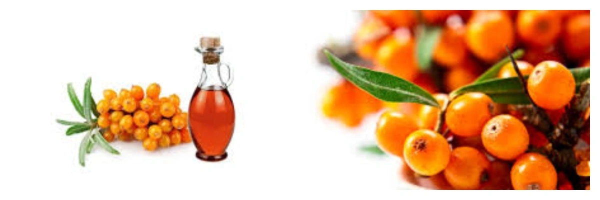 product-1-1 product-1-1