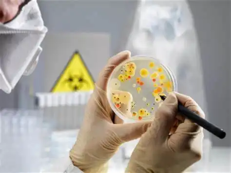 product-1-1 product-1-1