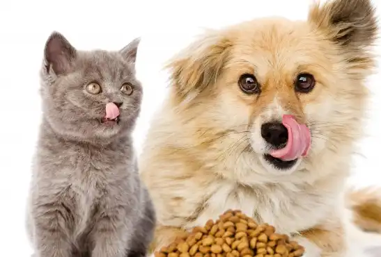 product-1-1 product-1-1