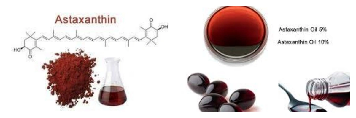 blog-1-1 product-1-1