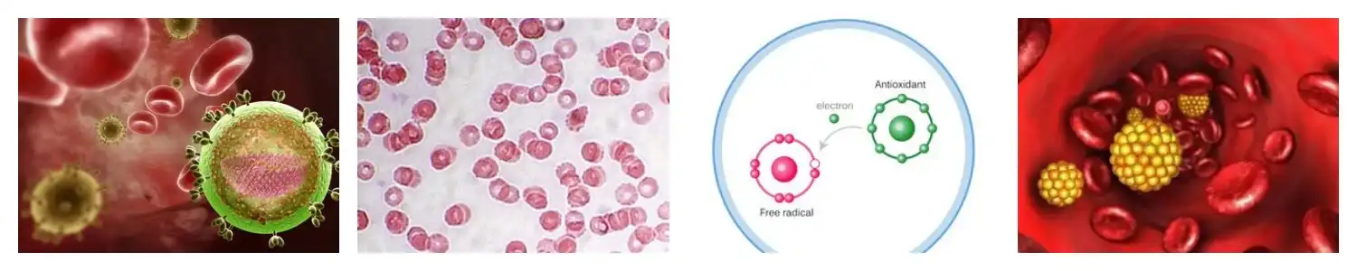 product-1-1 product-1-1