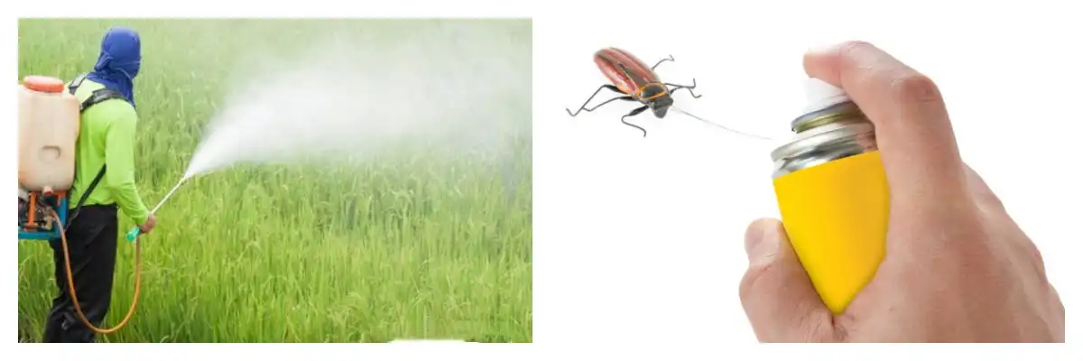 product-1-1 product-1-1