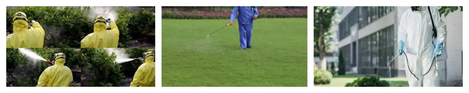 product-1-1 product-1-1