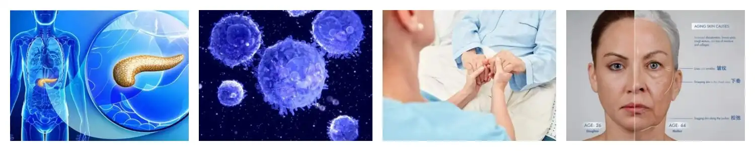 product-1-1 product-1-1