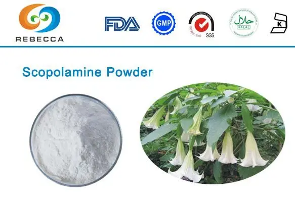 product-1-1 product-1-1