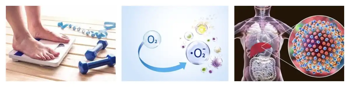 product-1-1 product-1-1