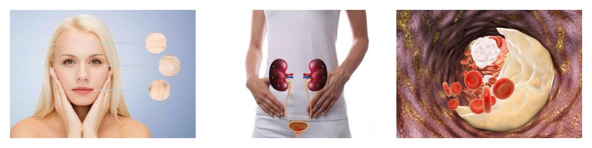 product-1-1 product-1-1