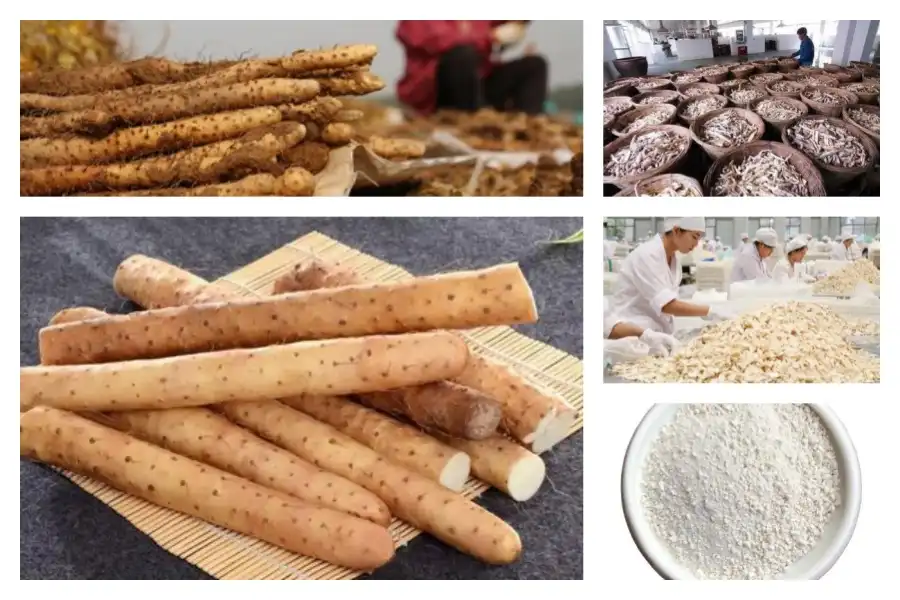 product-1-1 product-1-1