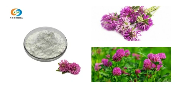 blog-1-1 product-1-1