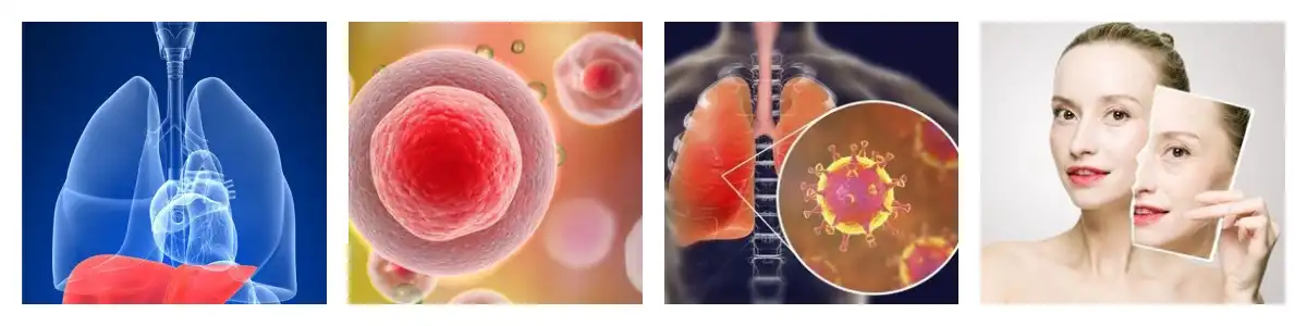 product-1-1 product-1-1