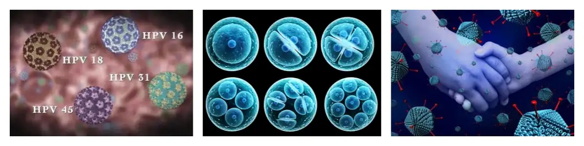 product-1-1 product-1-1