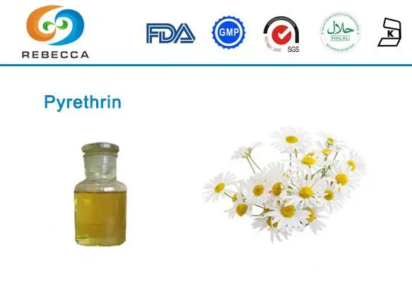 product-1-1 product-1-1