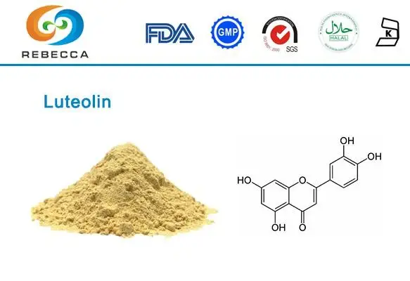 blog-1-1 product-1-1