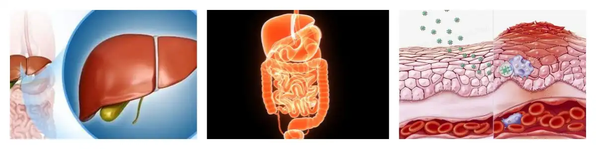 product-1-1 product-1-1