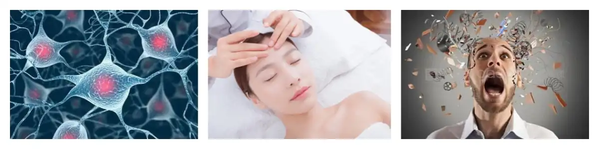 product-1-1 product-1-1