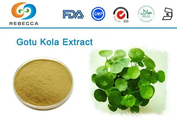 blog-1-1 product-1-1