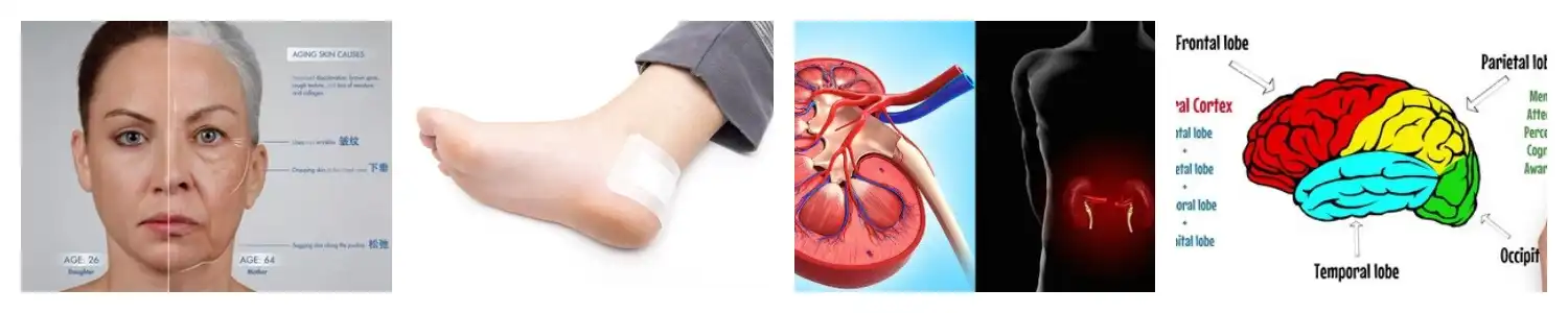 product-1-1 product-1-1