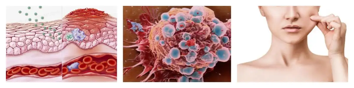 product-1-1 product-1-1