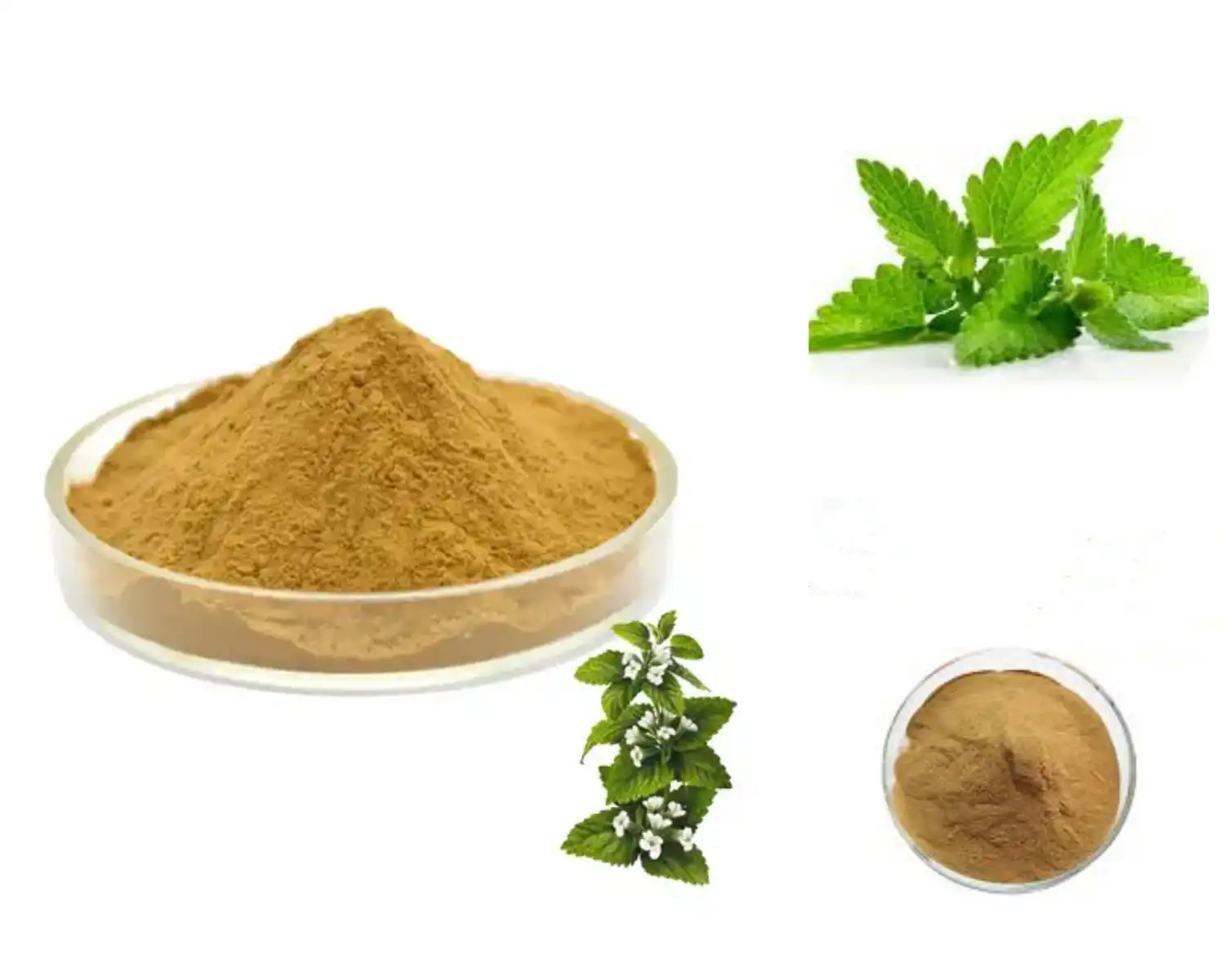 product-1-1 product-1-1