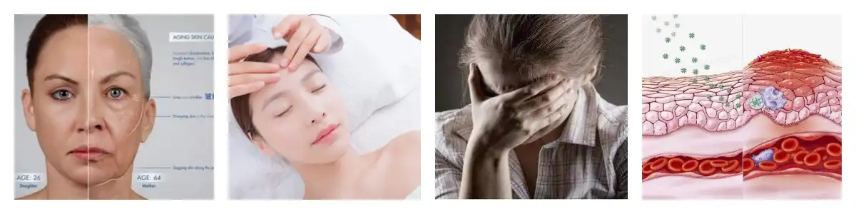 product-1-1 product-1-1