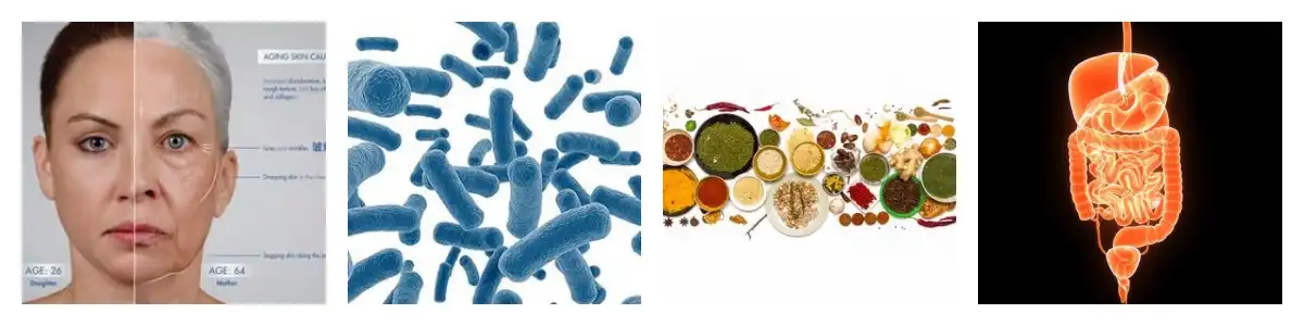 product-1-1 product-1-1