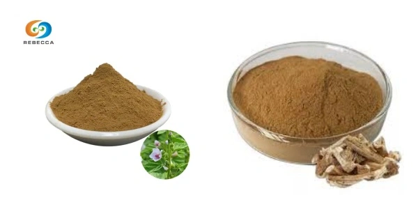 product-1-1 product-1-1