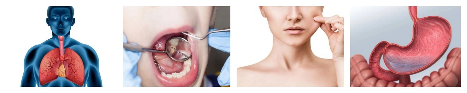 product-1-1 product-1-1