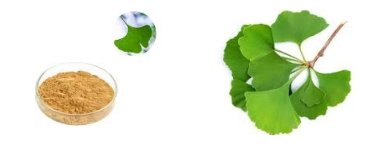 product-1-1 product-1-1