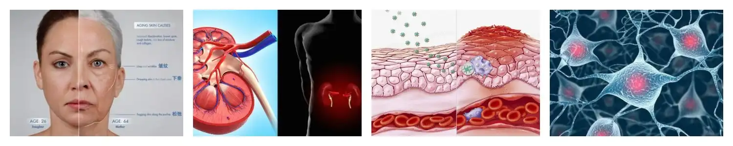 product-1-1 product-1-1