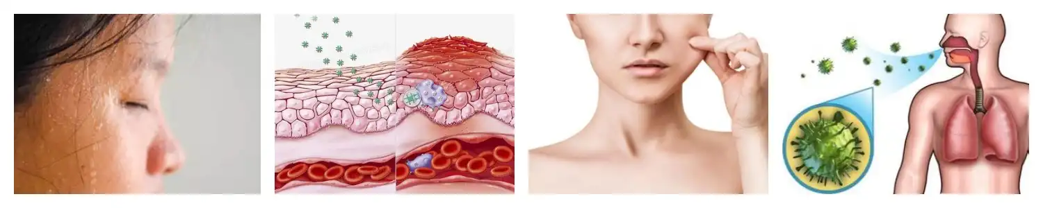 product-1-1 product-1-1