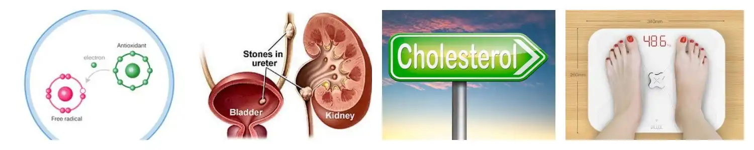 product-1-1 product-1-1