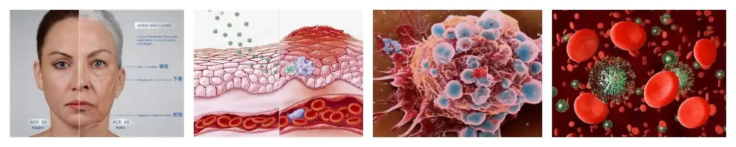 product-1-1 product-1-1