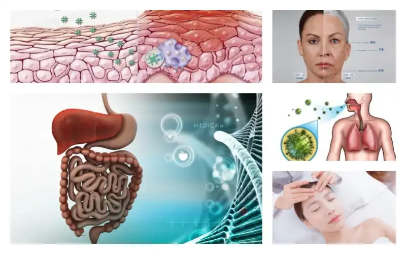 product-1-1 product-1-1