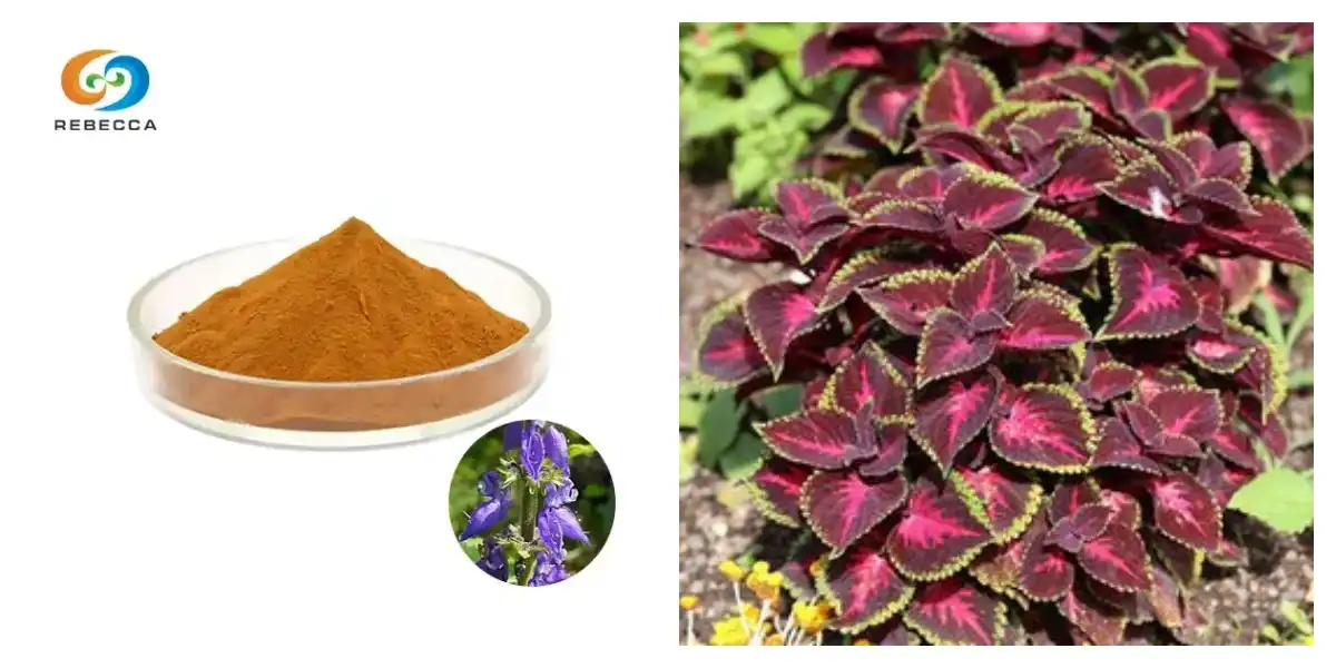 product-1-1 product-1-1