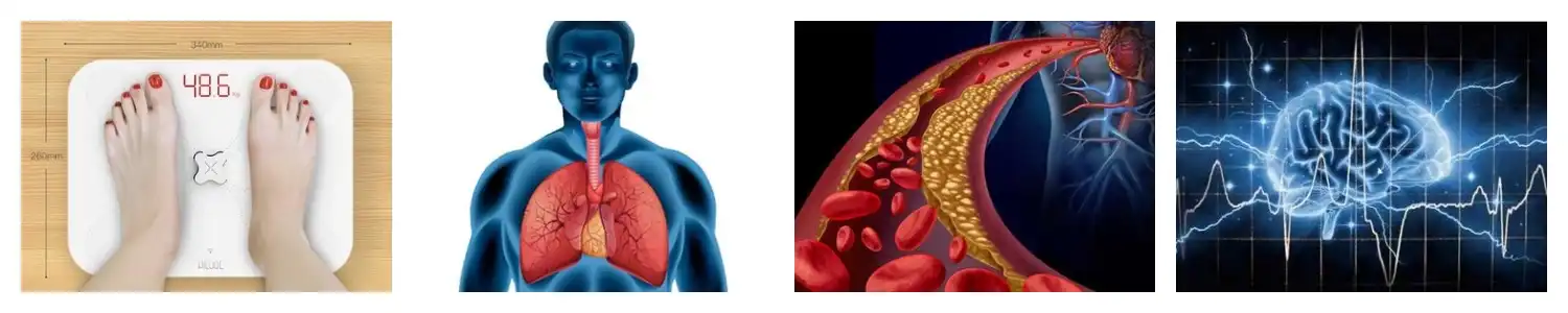 product-1-1 product-1-1