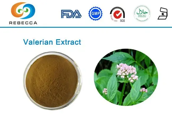 blog-1-1 product-1-1