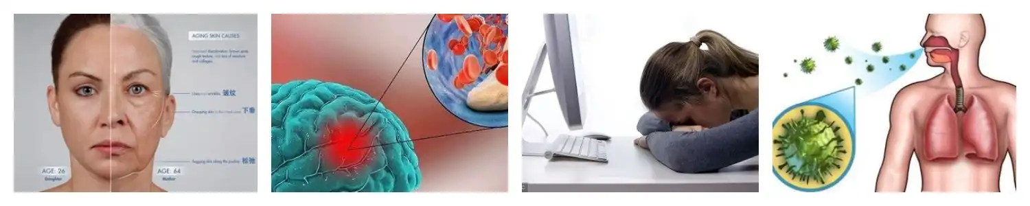 product-1-1 product-1-1