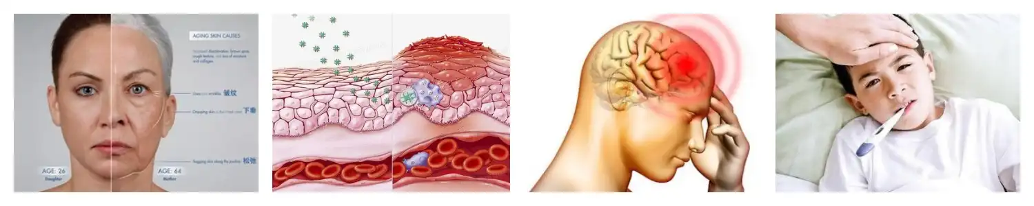 product-1-1 product-1-1