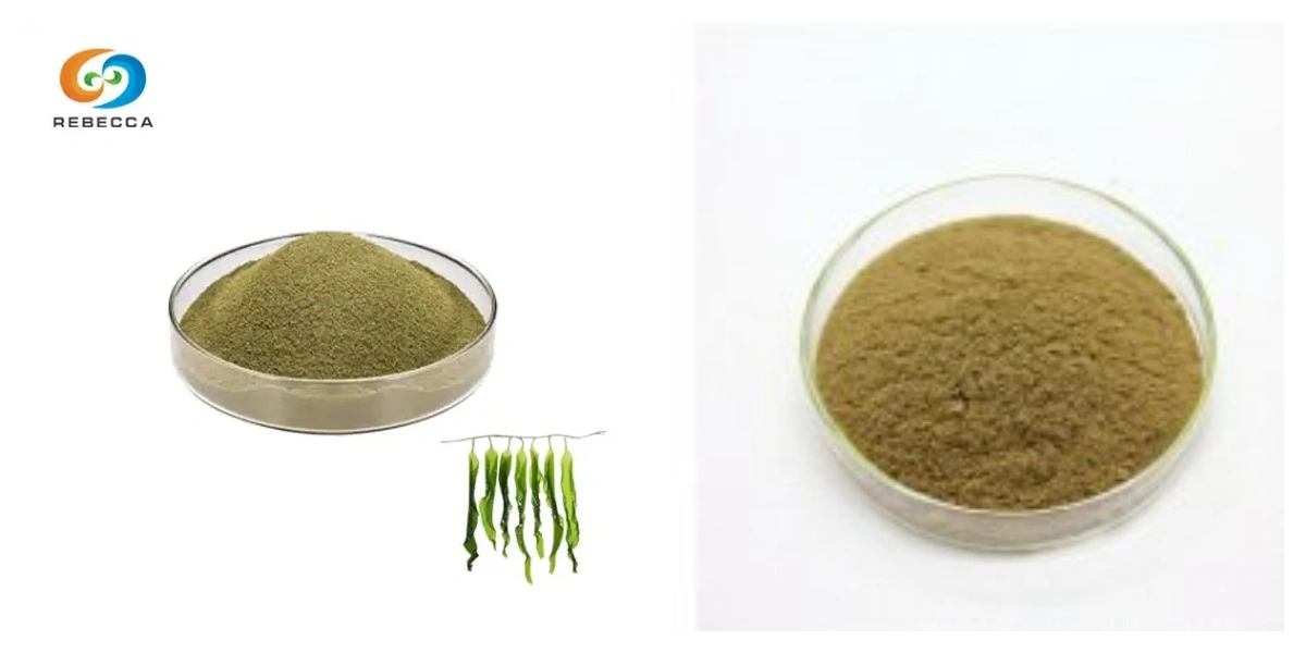 blog-1-1 product-1-1